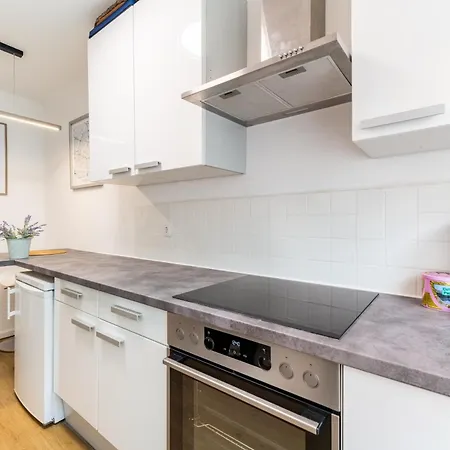 Apartment Cozy In Graz-3guests-free Parking Graz
